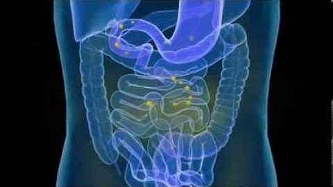 Dr Oz Praises FBCx alpha-Cyclodextrin Super-Fiber?