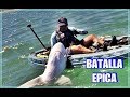 BATALLA "ÉPICA" CONTRA  UN GRAN TIBURÓN DE APROX. 120 KG