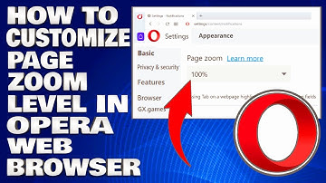 How To Customize Page Zoom Level in Opera Web Browser [Guide]