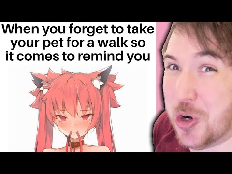 OFFBRAND ANIME MEMES Taking your pet for a walk Edition  Lost Pause  Amino Amino