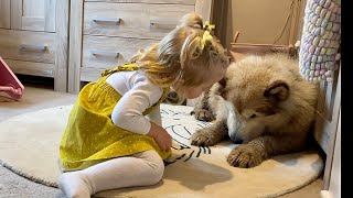 Baby Girl Tries To Convince Giant Sulking Dog It's BATH TIME! (Cutest EVER!!)