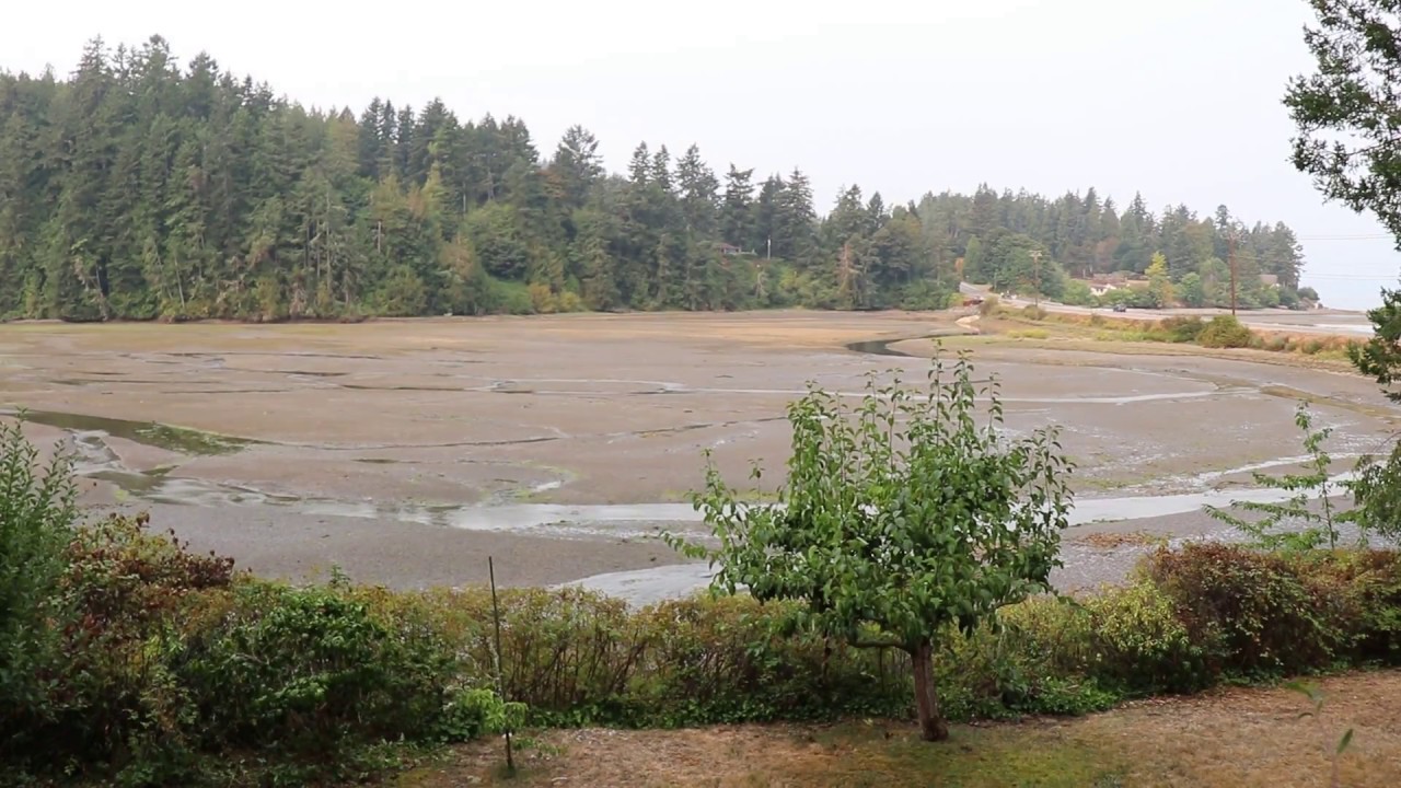 Big Beef Bay tide time-lapse, 20 August 2018