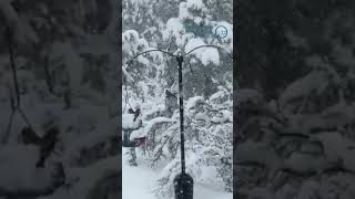 Take in the beautiful snowy scene last week in Prescott, Ariz.  #weather