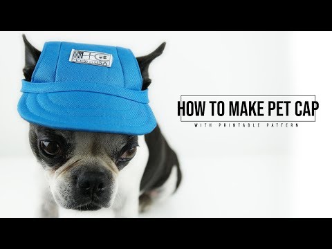 Video: How To Sew A Hat For A Dog