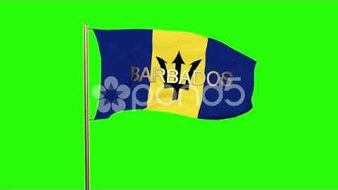 Barbados Flag With Title Waving In The Wind. Looping Sun Rises Style. Animation