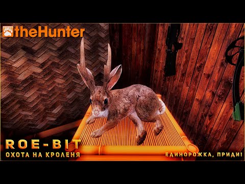 Видео: ♢ theHunter Classic ♢ Охота на кроленя ♢ Roe-bit hunting ♢ С 1 апреля ♢
