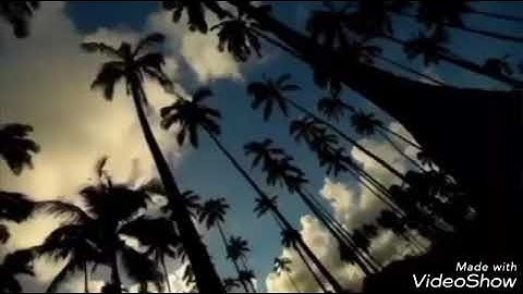 تلاوة خاشعة للقارئ نايف العامري من أواخر سورة ال عمران من الآية 186_200 من جامع الشيخ خليفة بن زايد