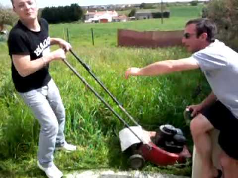 tondeur de pelouse tondeur de pelouse