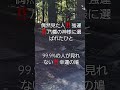 【開運招来】偶然見た人✨おめでとうございます💓99.9%の人が見れない幸運の鳩の飛翔‼️