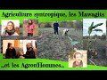 Agriculture syntropique  les agronhommes et les mawagits