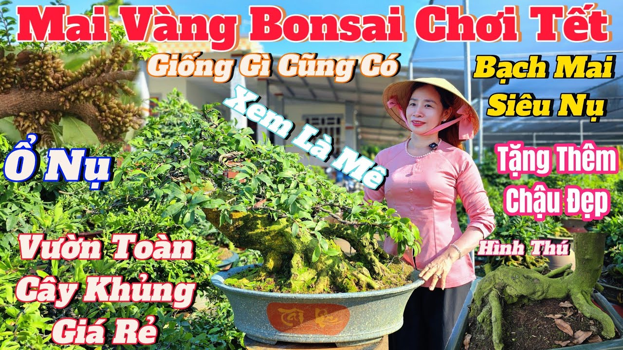 7/12☎️Cheap Yellow Apricot☎️0378898338 Ms. Tram☎️Exchange