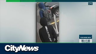 CPS search for pharmacy robbery suspects