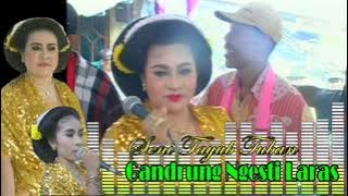 AYO NGGUYU...!! Cak Kasnadi // Tayub Tuban - Gandrung ngesti laras
