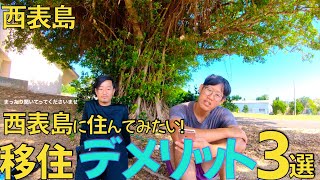 【西表島】大自然に囲まれた最高な環境に移住したい！僕が思う西表島への移住デメリット③選【移住】