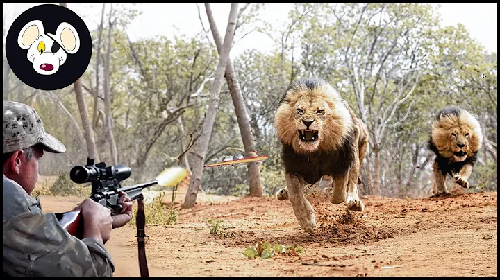 Full Video 4k : How Do South African Hunters Deal With Millions Of Lions | Wild Boar Hunting