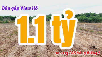 Đất Dầu Tiếng | bán gấp lô view hồ 10 x 113  giá siêu mềm #608