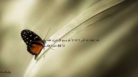 Relaxing Recitation of Surah Taha for Stress Relief and Healing  by Ismail Annuri 1