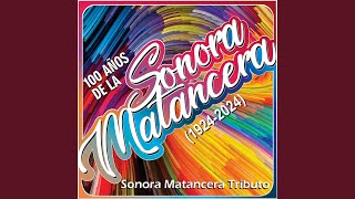 Saoco - Sonora Matancera Tributo & Haila