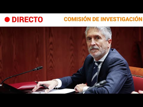 CASO KOLDO: FERNANDO GRANDE-MARLASKA dice que DELCY RODRÍGUEZ NO PISÓ SUELO SCHENGEN| RTVE