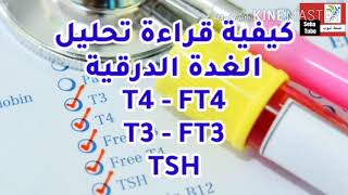 قراءة تحليل الغدة الدرقية | TSH | T4 | T3 | FT3 | FT4 | خمول الغدة الدرقية | زيادة نشاط الغدة