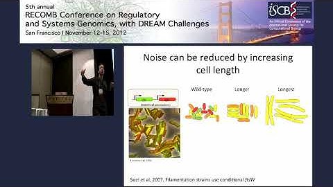 Cell signaling at the single-cell level - Michael Elowitz - RECOMB/RSG 2012