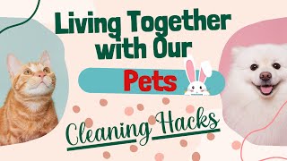 HOW to PET-PROOF your HOME:🐾 Cleaning Hacks and Tricks to Keep Your Space Clean and Pet-Friendly.🐾