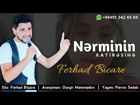 Ferhad Biçarə - 10 yaşlı Nərminin əziz xatirəsinə həsr etdiyi mahnı