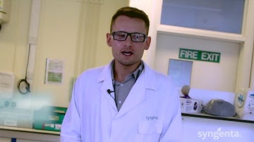 The Product Safety Team at Syngenta