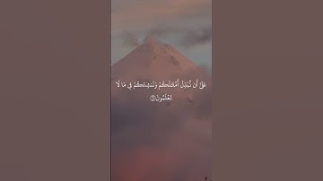 قراءة لسورة الواقعة 🤍 آيات من 57 الى 67 بصوت القارئ (ماهر المعيقلي) #صوت_جميل #قراءة_القرآن_الكريم