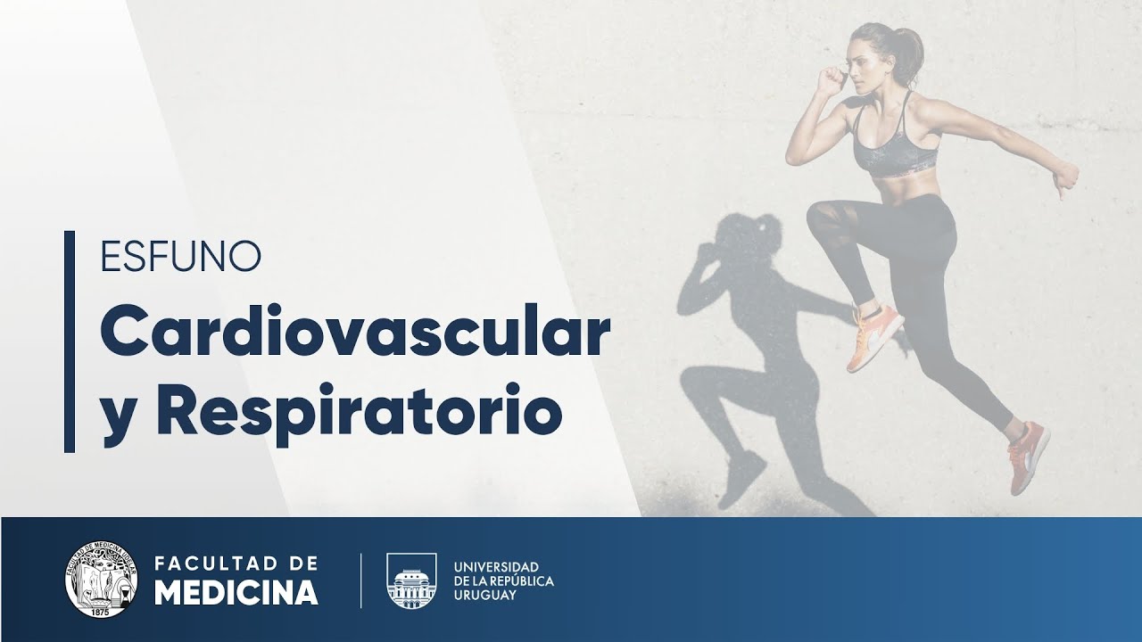 Ciclo cardíaco y gasto cardíaco - Cardiovascular y Respiratorio