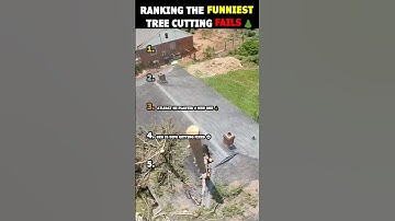 Ranking the funniest tree cutting fails! 🌲