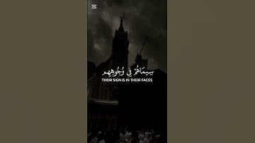 تلاوة خاشعه  محمد رسول الله بصوت الشيخ ياسر الدوسري سورة الفتح #راحة_نفسية ❤️‍🩹❤️‍🩹❤️‍🩹❤️‍🩹❤️‍🩹