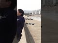 ミラクル連発!! １日で５本も青物が！？～ベスポジ編～ #泳がせ釣り#shorts
