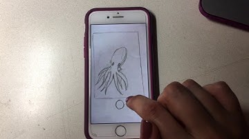 HCDE 210 Interaction Design