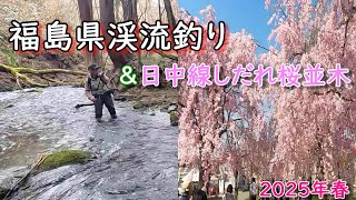 ▽希少 福島県の渓流 釣り場 会津編 東京起点・日帰り1泊で