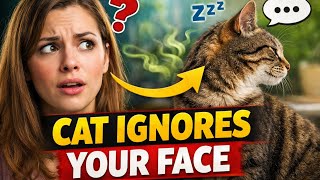 Your Cat Doesn’t Recognize Faces — How Does It Recognize You?