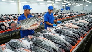 Download lagu Inside Tilapia Processing Factory – How Thousands of Tons Become Global Exports (Full Process)