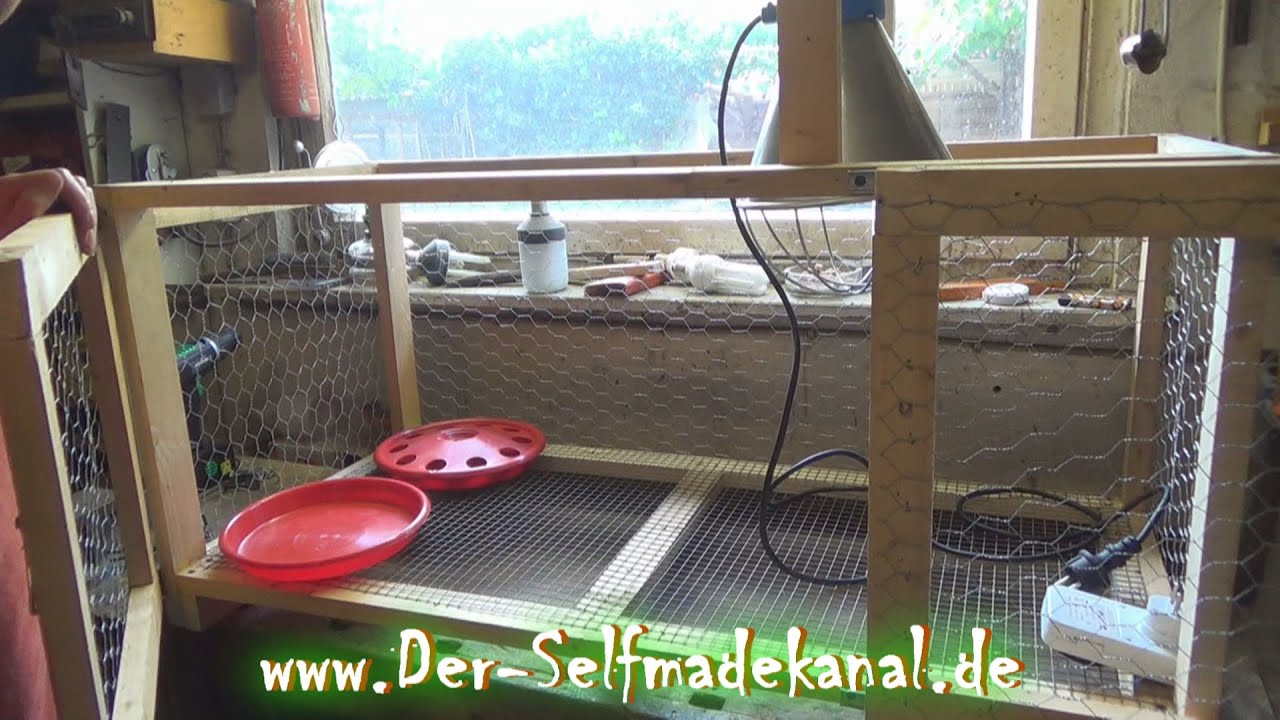 Aufzuchtbox für Hühner selber bauen DIY YouTube
