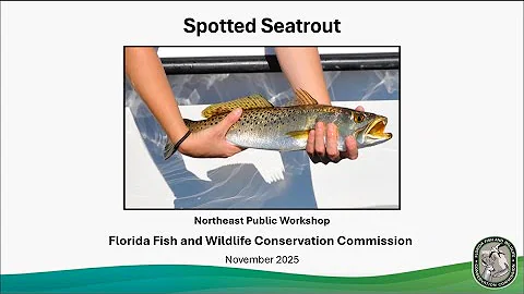 Spotted Seatrout – Northeast 2025 Recorded Presentation – Holistic Regional Management
