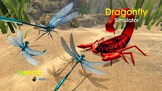 Dragonfly Simulator (By Wild Foot Games) Android Gameplay screenshot 4