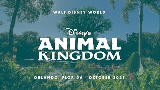 Disney&#39;s Animal Kingdom - October 2021