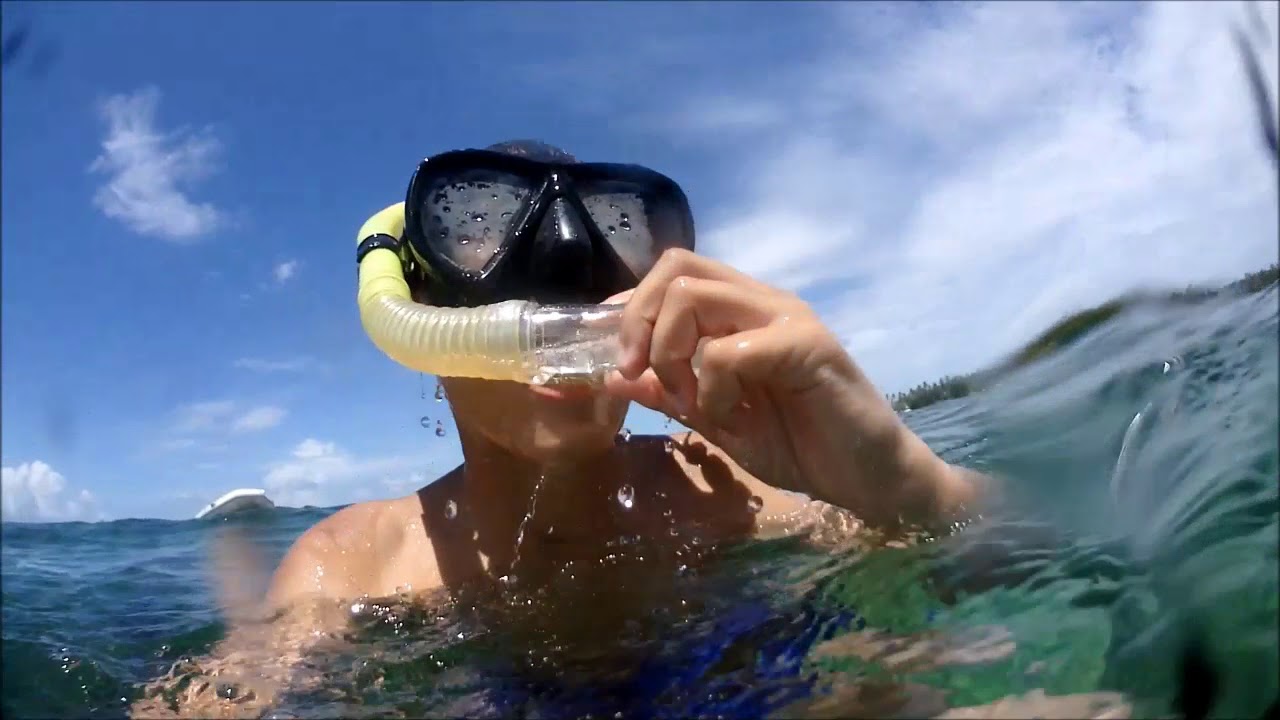 Tobago snorkeling in Store Bay Buccoo reef 2017 September