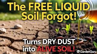 “The FREE Liquid That Revived My Dead Soil Overnight | My Secret Shortcut to Living Soil!”