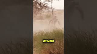 MASSIVE Crash On Stage 3 #Dakar - Cycle News