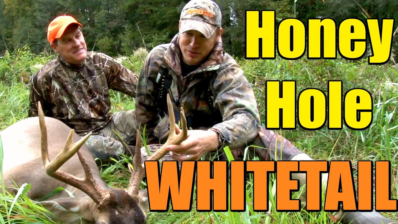 whitetail deer hunting trips in south carolina