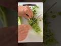 Satisfying spring, onion cutting video #cuttinggarden #cuttingfruit #fruitcutting