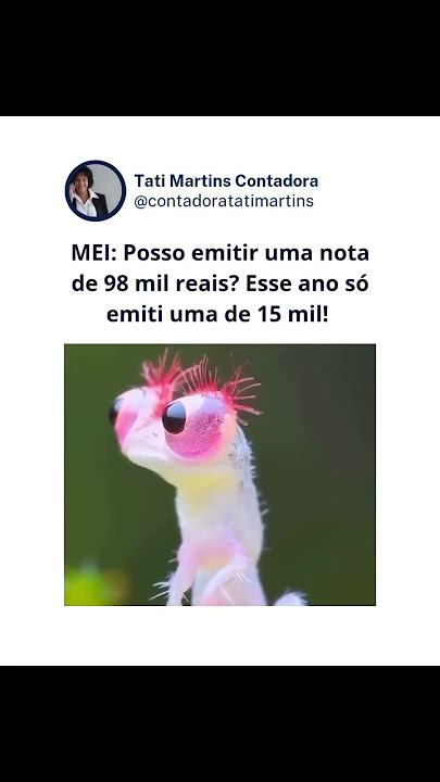 O Microempreendedor Individual MEI tem um limite de faturamento anual de R$ 81 mil