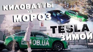 Высадили TESLA в НОЛЬ. Расход и пробег Тесла зимой. кВт против холода.