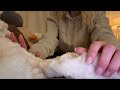 ASMR Massaging Soft Objects For Tingles Plush Textures Crinkly Sounds No Talking Lofi