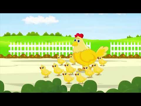 ორგანიზმის სასიცოცხლო ციკლი ირმა საათაშვილი